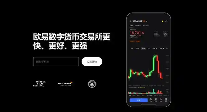 topay钱包苹果下载页面展示